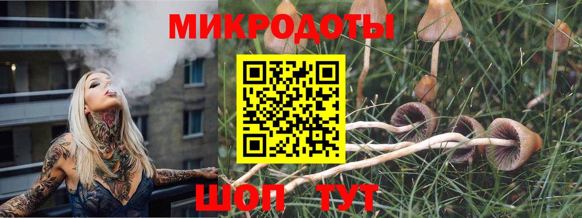 купить наркоту  Вход с VPN  Касимов  Псилоцибиновые грибы Psilocybe 